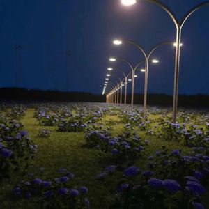 久久男人的天堂AV
