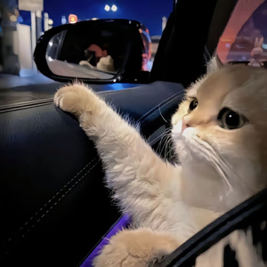 久久男人的天堂AV
