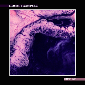 久久男人的天堂AV
